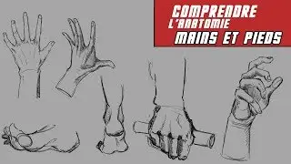 Dessins  comprendre la construction des mains et des pieds