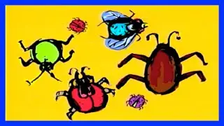 👩🏻‍🦱 MI GRAN AMIGO - Temporada 2 Episodio 3 (Colección de Insectos)
