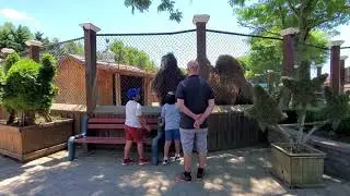 Trip to White Post farms NY