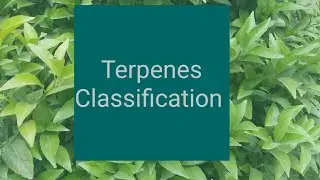 Terpenes Classification 