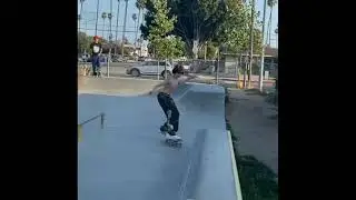 SUNNY SULJIC | Skate Clips