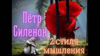 2 стиля мышления