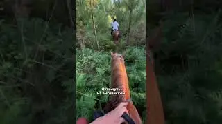 Школа Centre Equestre Les Centaures, Vivies/Ariège. Кемпинг Camping Sandaya Le Col Vert - 4 étoiles