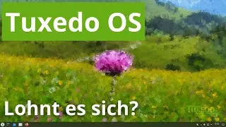 Tuxedo OS vorgestellt - Kubuntu mit Tuxedo Apps