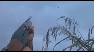 Открыл осенний сезон охоты на утку