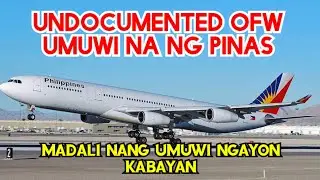TAKAS NA OFW PAUWI NA NANG PINAS