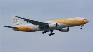Scoot Airlines history and fleet