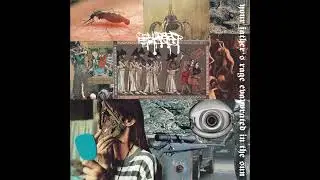 Collapsed Skull - Your Father's Rage Evaporated In The Sun (2024)