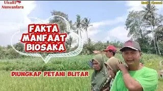 Fakta Manfaat Biosaka Diungkap Petani Blitar##biosaka