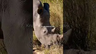 4 Must Visit Places 📍South Africa