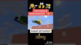 Tiktok Minecraft пчеловод