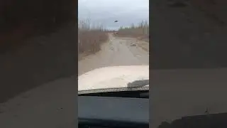 28 мая 2023 г.