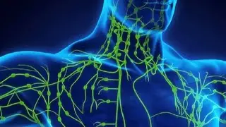 Lymphatic Technique Sun Feb 26,23