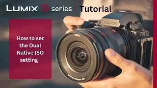How to set the Dual Native ISO setting on the LUMIX S5II & S5IIx