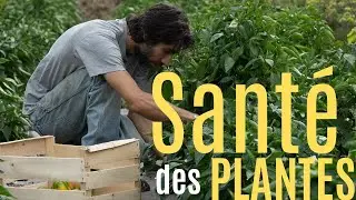 Ep.10:  La Santé des plantes