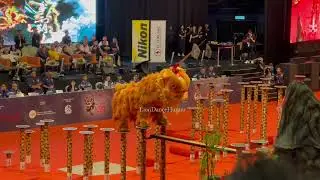 [FINAL] Xuan Long Rawang 雪州万挠玄龙文化协会 - 20th Malaysia National Lion Dance Championship 2024
