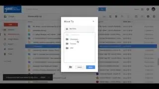 Adding to a Shared Google Drive Folder
