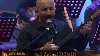 Zeynel Demir-Muhabbet bağında bir gül açıldı.