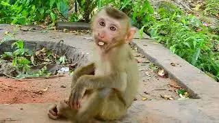 Haknuman at Angkor wat temple 15