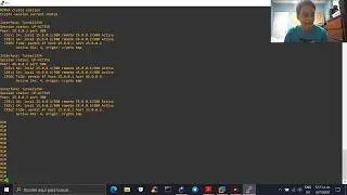 How to - Configure IPSec over DMVPN - By VeryTutos