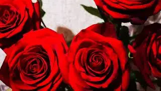ПРОСТИ  МЕНЯ