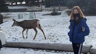 Несколько кадров из жизни