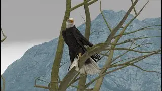 Eagle Fishing-Blender animation