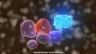 Репликация вируса гепатита С