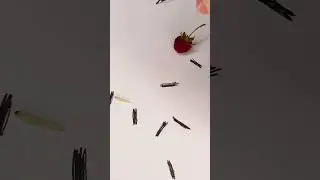 This is an incredible experiment 😨 and it works 🤩🤗 