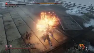 Fire vs Lightning - Sekiro