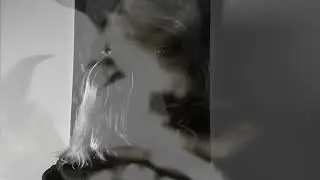 KISS2
