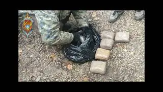 Орловский суд отправил оптового наркокурьера в колонию строгого режима