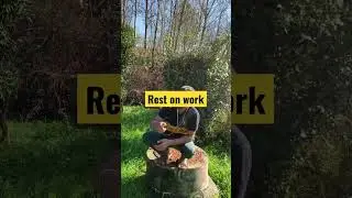 Agriculture work #agriculture