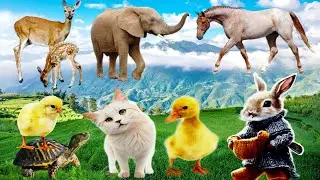 Funny animals: Cat, Dog Cow Horse Elephant Dinosaur Duck turtle fish #animals