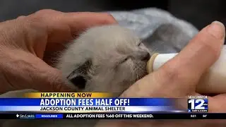 FOTAS and Jackson County animal shelter each having adoption events this weekend