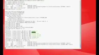 Using NETCA