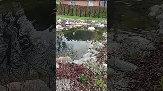 Весеннее обслуживание купального пруда