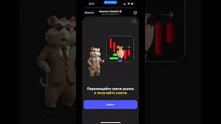 Прохождение мини-игры в Хамстер Комбат 23 - 24 августа