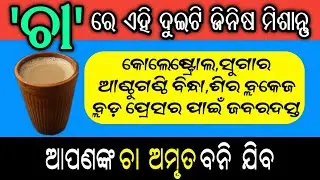 ଏହି ୨ଟି ଜିନିଷ ଚା ରେ ମିଶାନ୍ତୁ, ଆପଣଙ୍କ ଚା ଅମୃତ ହୋଇଯିବ, ଛୋଟ ବଡ ସମସ୍ତ ରୋଗ ଭଲ ହେବ | Tea Benefits in Odia