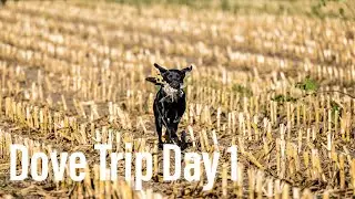 Dove Hunting South Dakota- Dove Hunting Trip Day 1