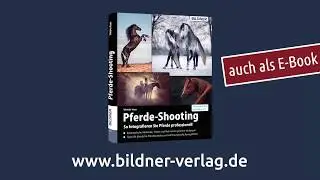 Pferde-Shooting - So fotografieren Sie Pferde professionell