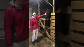 #экскурсия  .Знакомтесь🥰 Арнольд🐎🏔.#лошади #horse