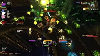 Perfection, EU Tarren Mill vs Maiden of Vigilance Mythic, Havoc DH PoV