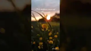 ДЛЯ САМЫХ БЛИЗКИХ #видеооткрытка 💌ПОДПИСАТЬСЯ инст: @julia_prokina #эстетика #природа #цветы