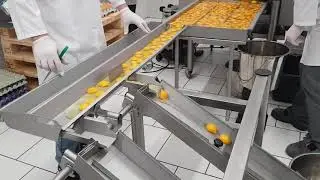 Rz6 2019 Разделитель яиц на желток и белок (egg breaker with yolks separation)