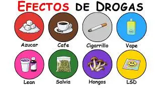 Cada Droga y Su Efecto Explicado | Las Que Tomas Cada Día