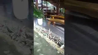 wisata kuliner klaten