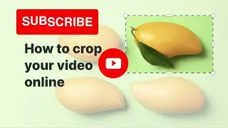 How To Crop A Video In Wave Video Step By Step
