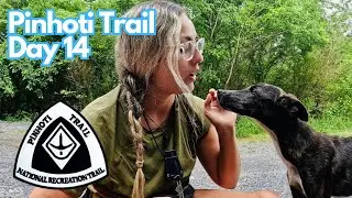 We found two starving dogs on trail & tried to save them 😥 | Pinhoti Trail Day 14