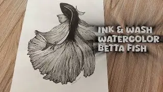 Ink and wash watercolor Betta Fish..|ArtandcraftbyShakira